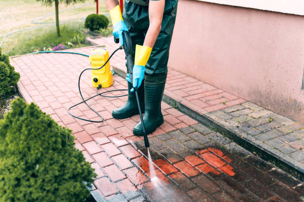 Best Deck Pressure Washing  in Genoa, IL