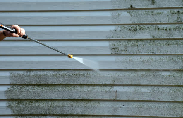 Best Residential Pressure Washing Services  in Genoa, IL