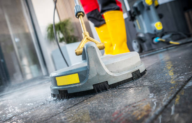 Best Local Pressure Washing Services  in Genoa, IL