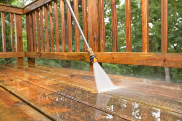 Best Pressure Washing Patio  in Genoa, IL