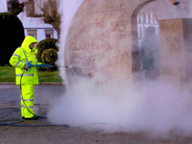 Best Exterior Home Cleaning  in Genoa, IL