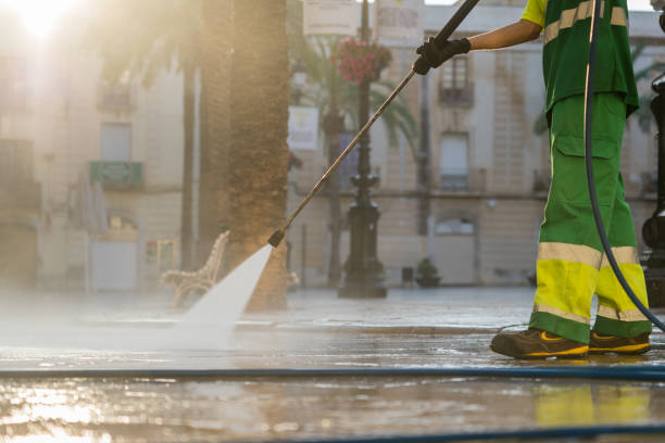 Best House Pressure Washing  in Genoa, IL
